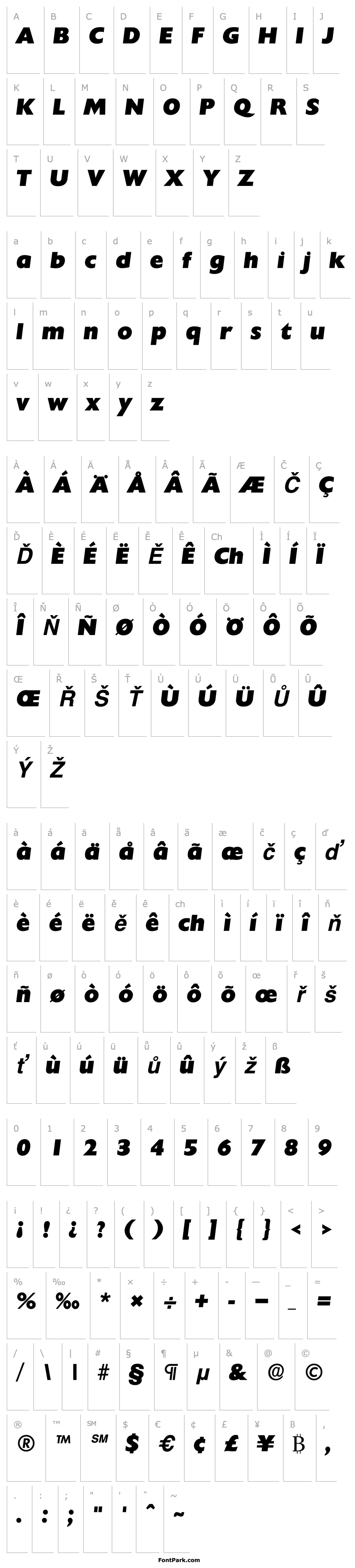 Overview ChantillyLH HeavyItalic