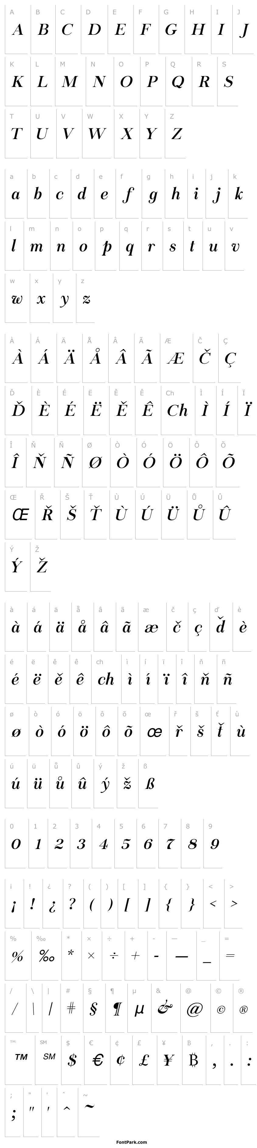 Přehled Chapaza Italic