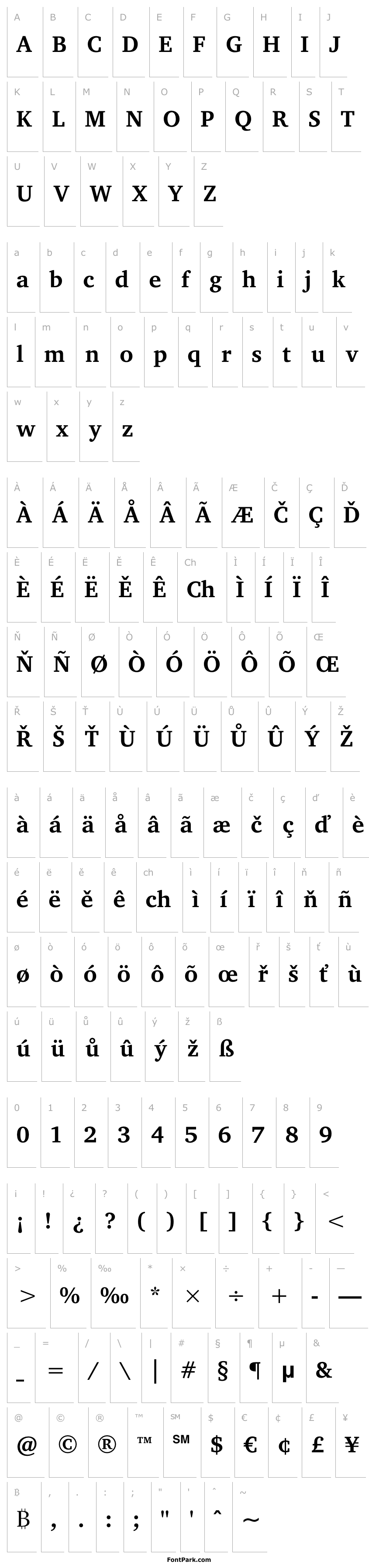 Přehled Charis SIL Bold