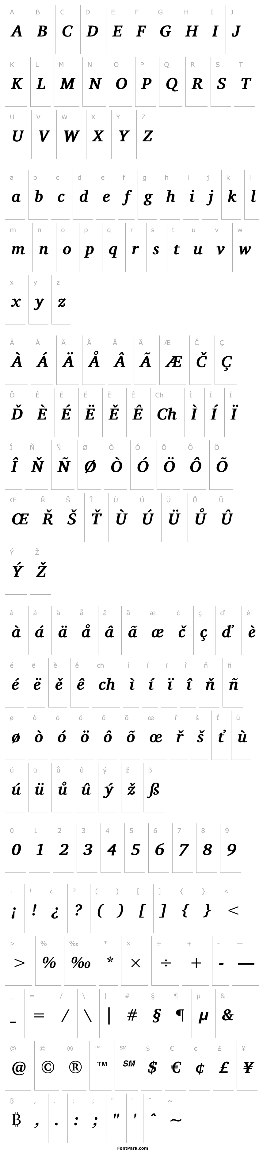 Přehled Charis SIL Bold Italic