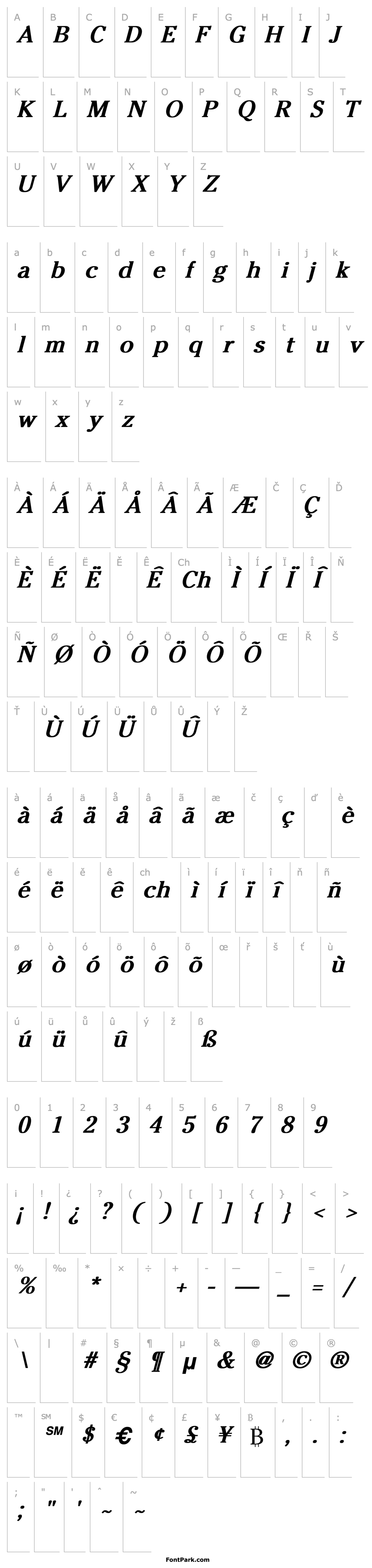 Přehled Charlie Normal Bold Italic