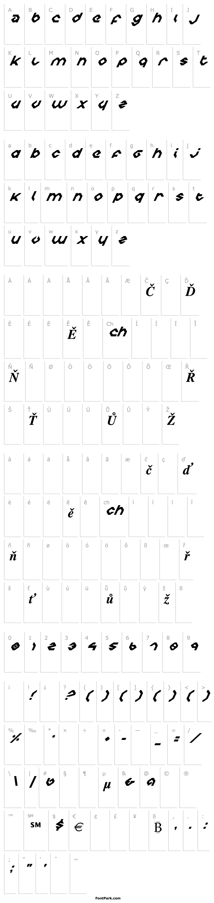 Overview Charlie's Angles Italic