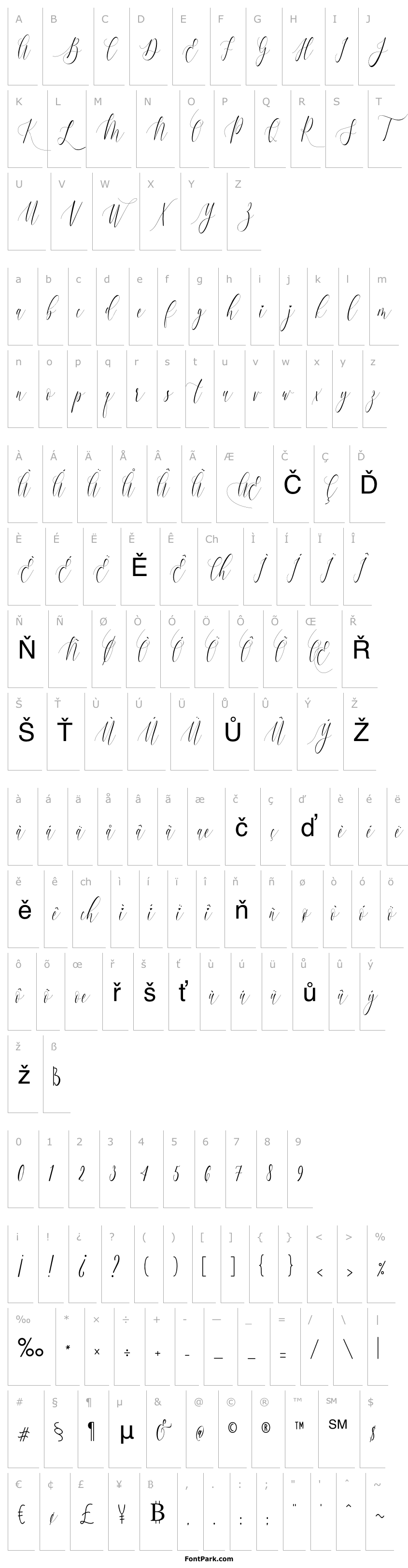 Overview Charlotte Calligraphy