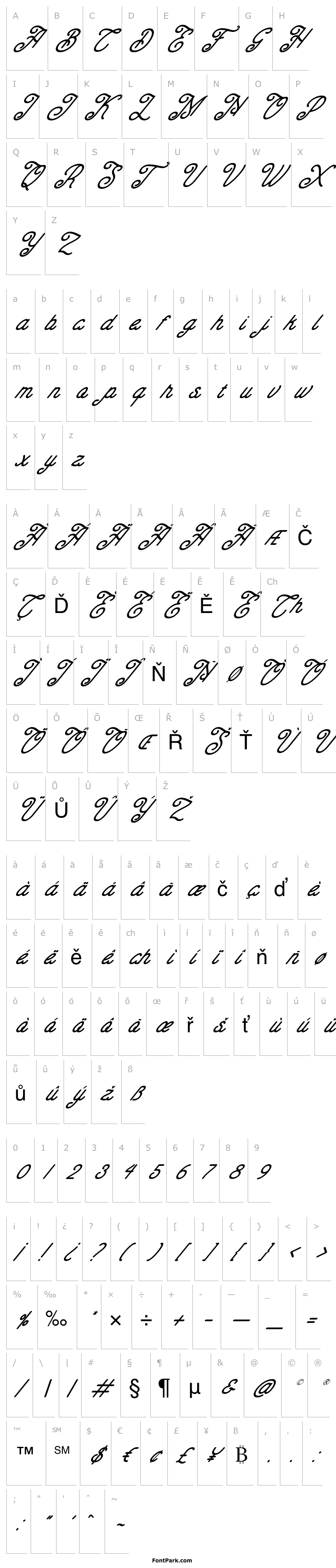 Overview Charlotte Italic