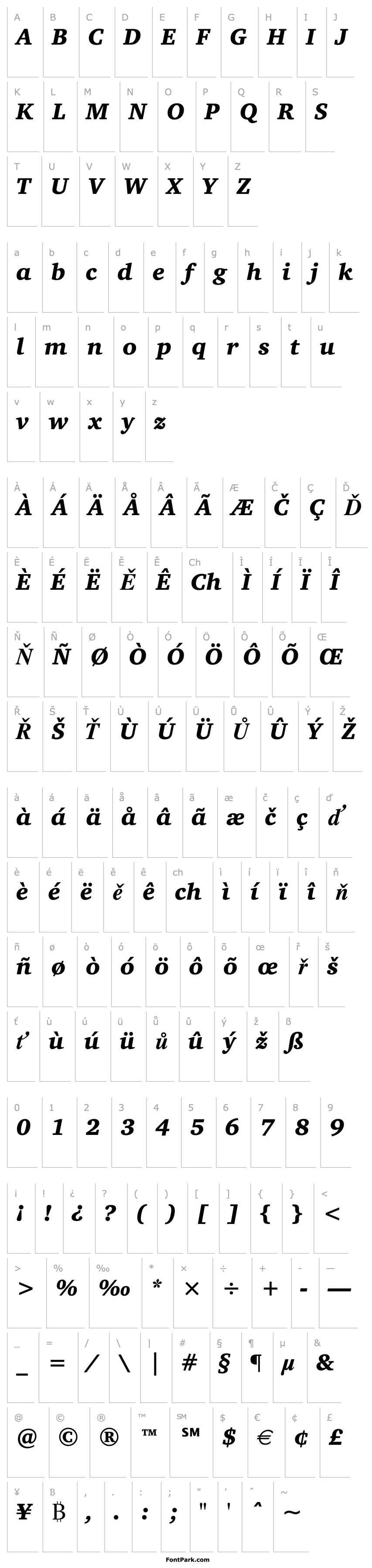 Overview Charter Black Italic BT