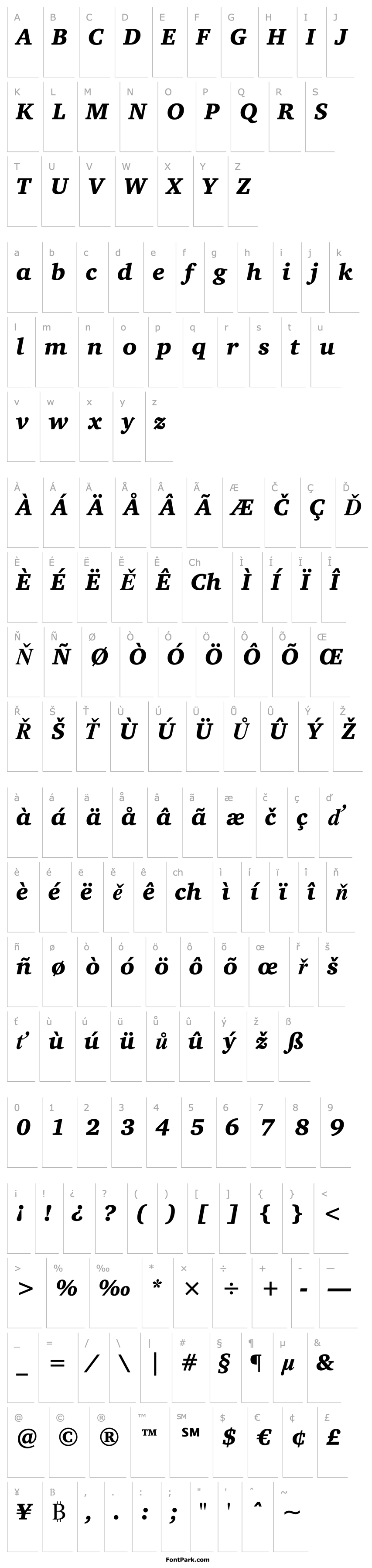 Overview Charter BT Black Italic