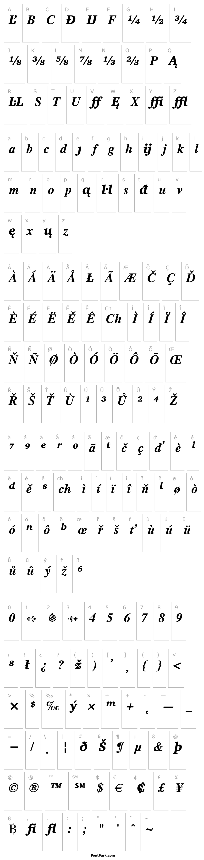 Overview Charter Ext BT Black Italic Extension