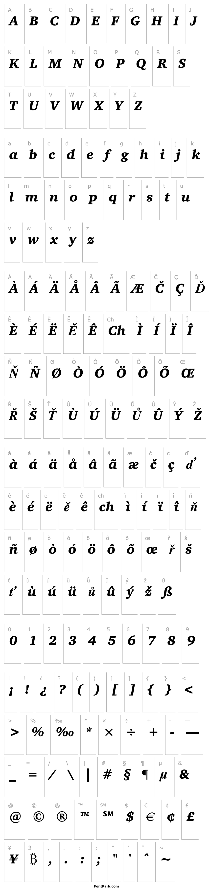 Overview Charter ITC Black Italic BT