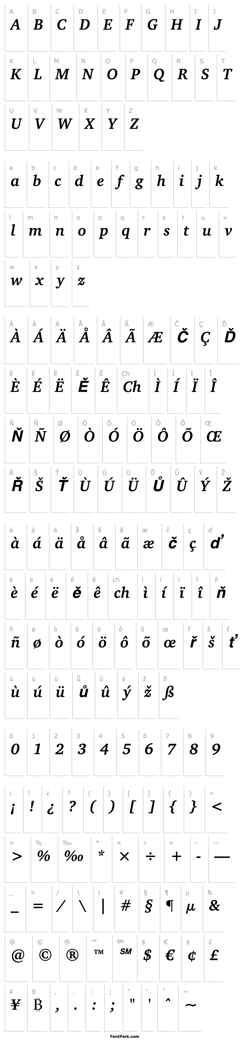 Overview Charter ITC Bold Italic