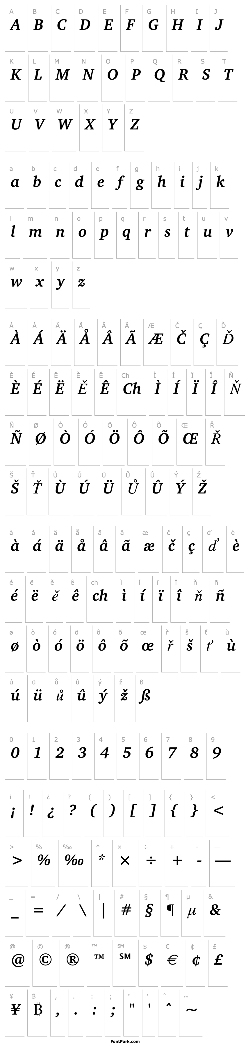 Overview Charter ITC Bold Italic BT