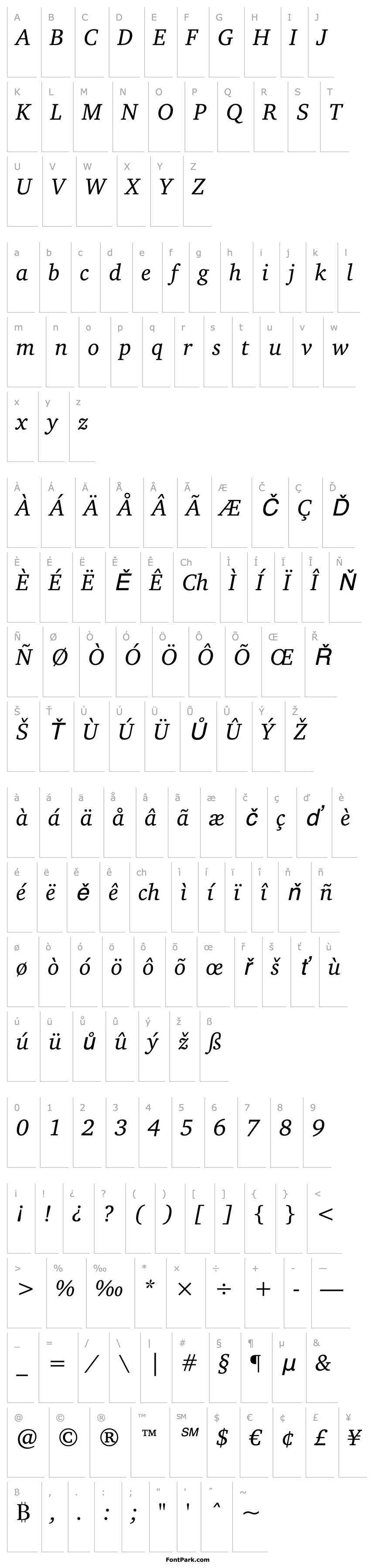 Přehled CharterBT-Italic