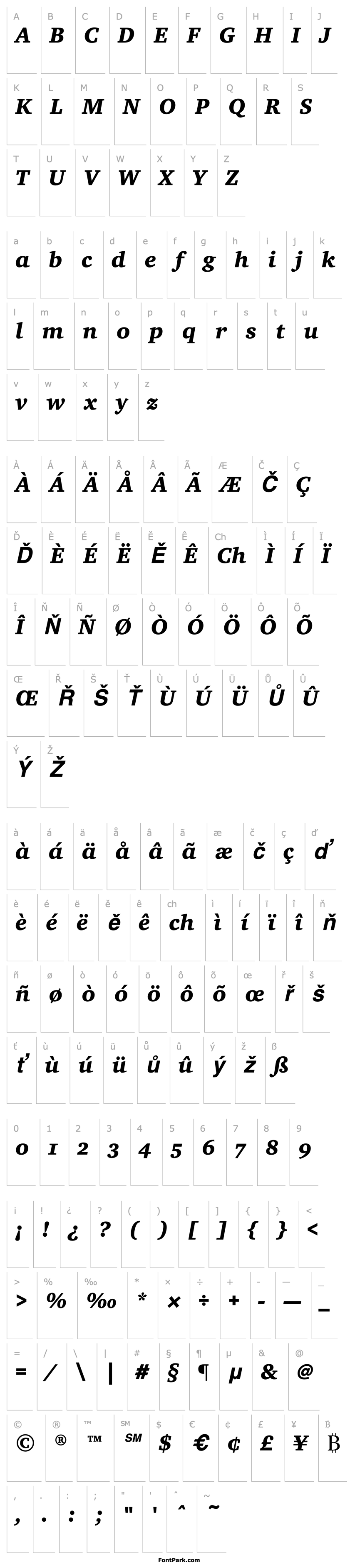 Přehled CharterEF-BlackItalicOsF