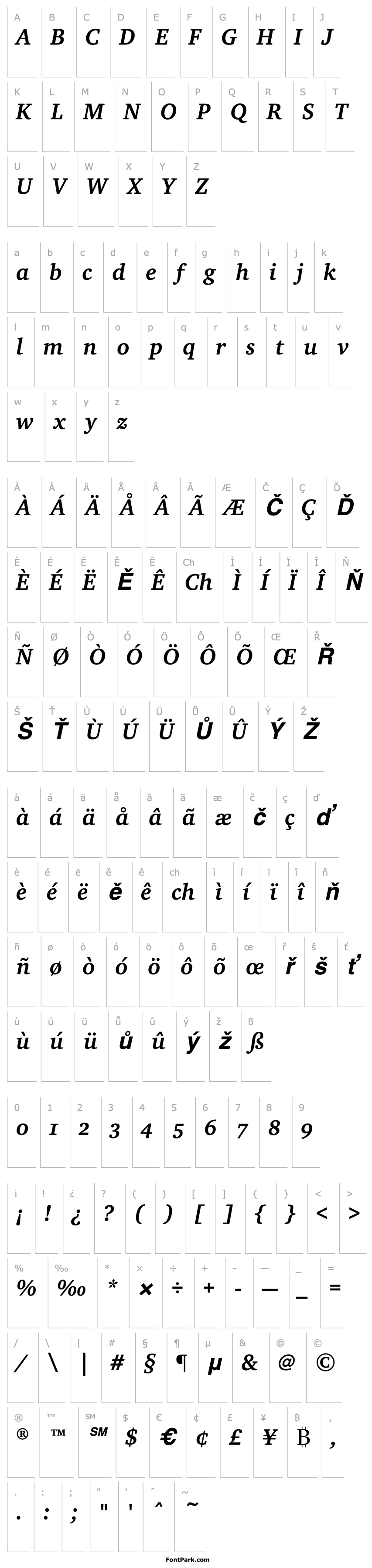 Přehled CharterEF-BoldItalicOsF