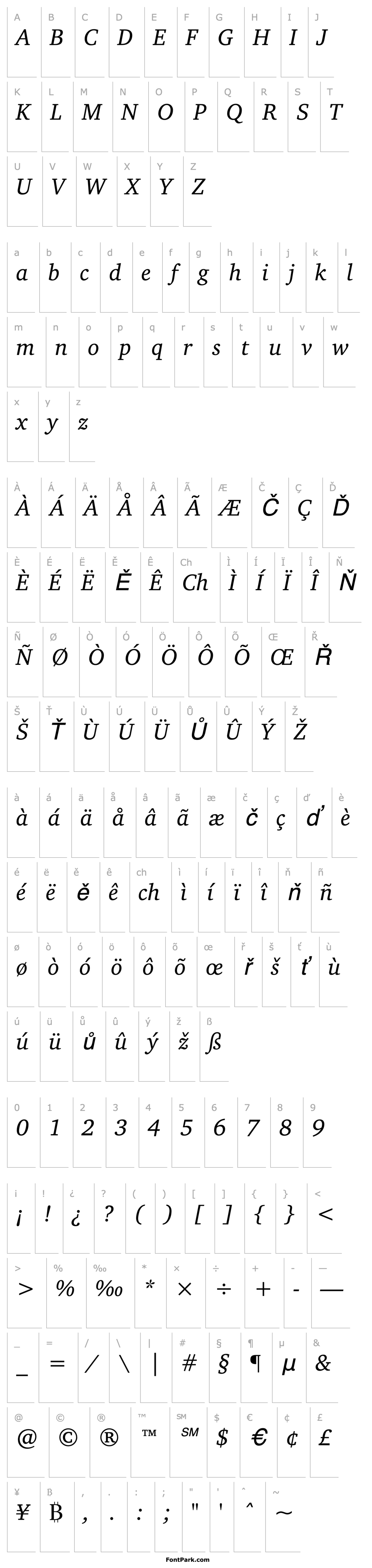 Přehled CharterITCbyBT-Italic