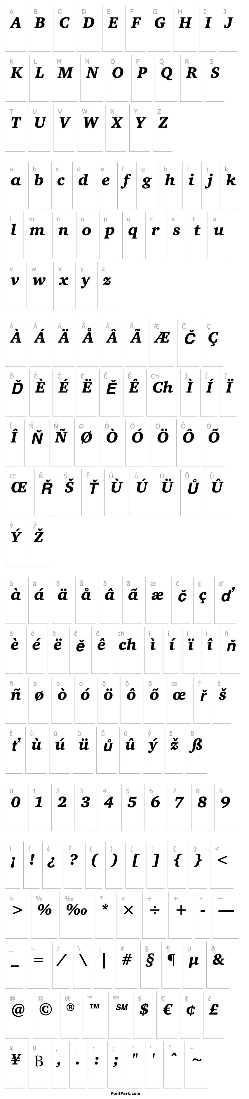 Přehled CharterITCStd-BlackItalic