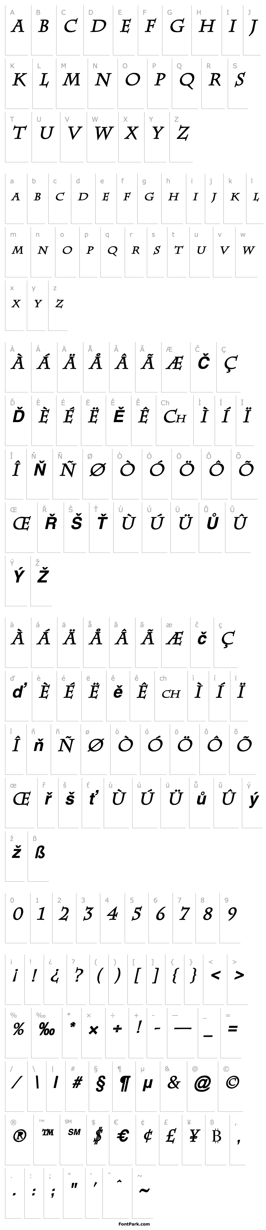 Overview Chaz Bold Italic