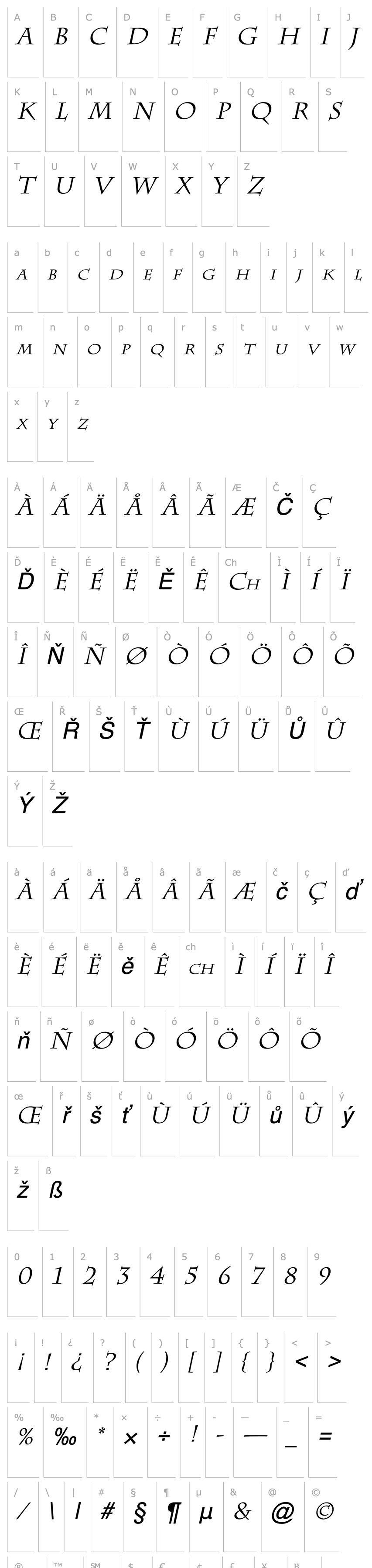 Overview Chaz Italic