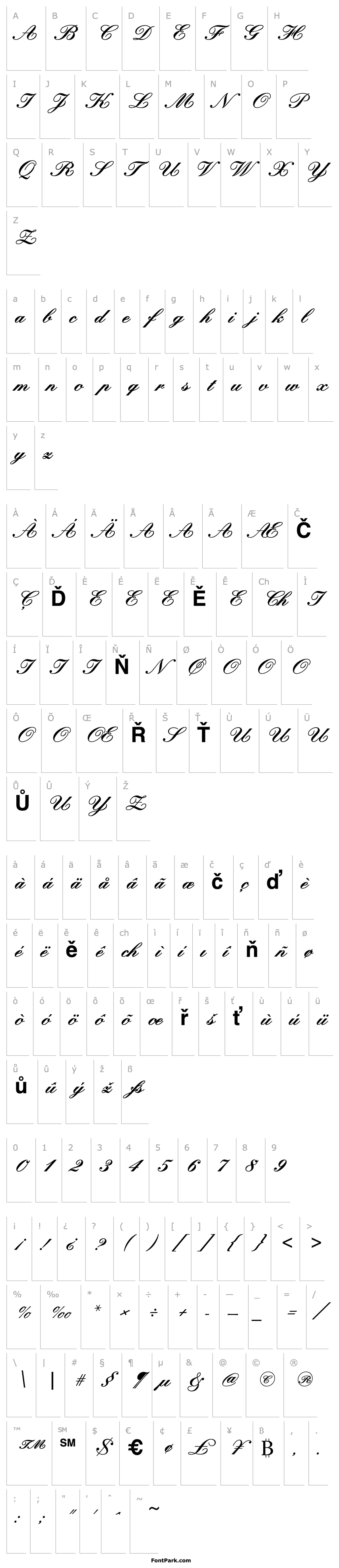 Přehled CheckQuillScriptSSK Bold