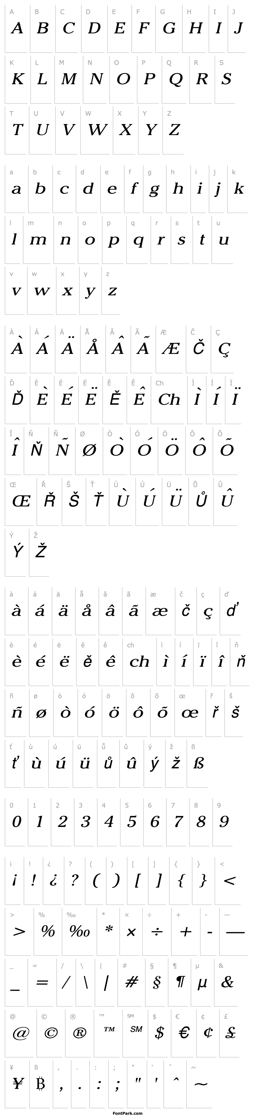 Přehled Chelsey Wide Italic