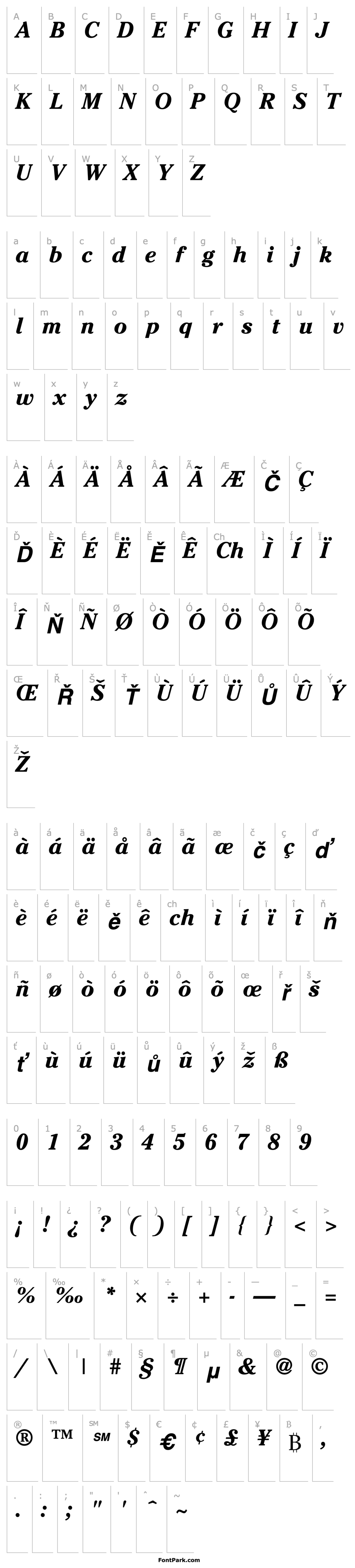 Přehled Cheltenham SSi Bold Italic