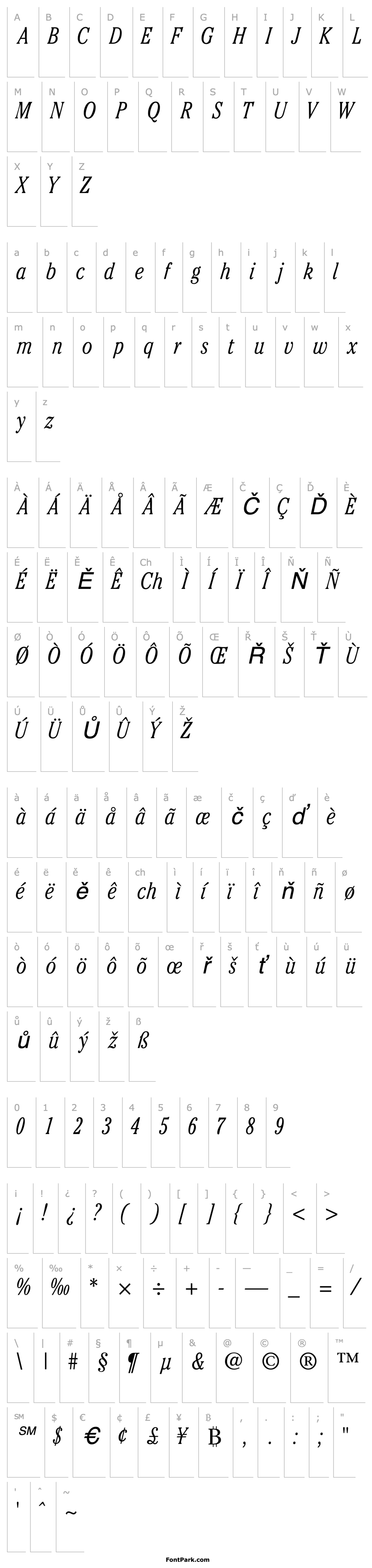 Overview CheltenhamLightCondSSK Italic