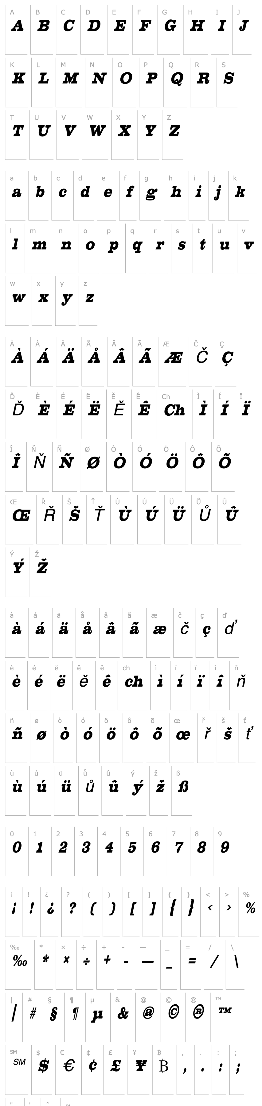 Overview ChestnutCondensed Oblique