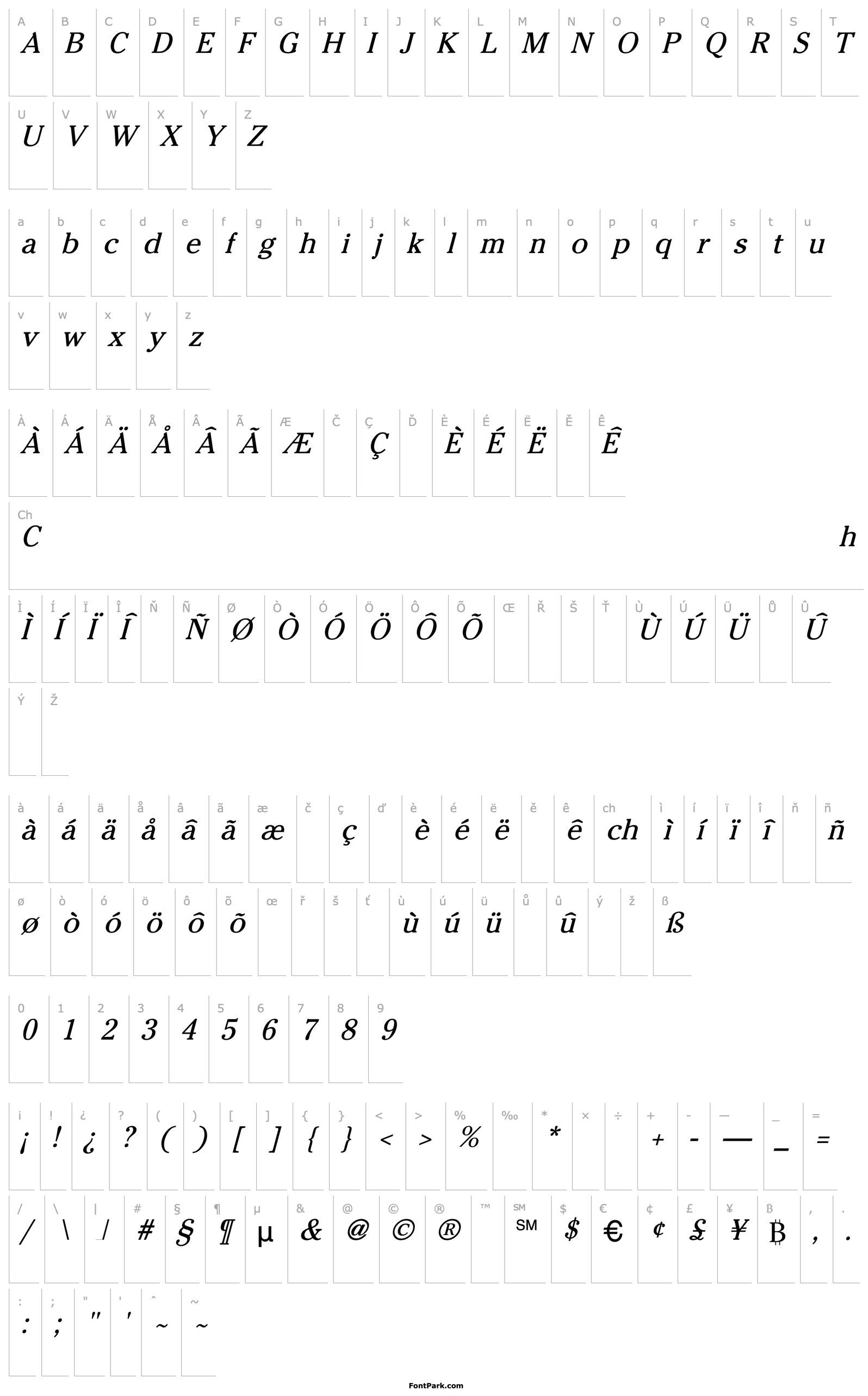 Overview Chiltons Lite Italic