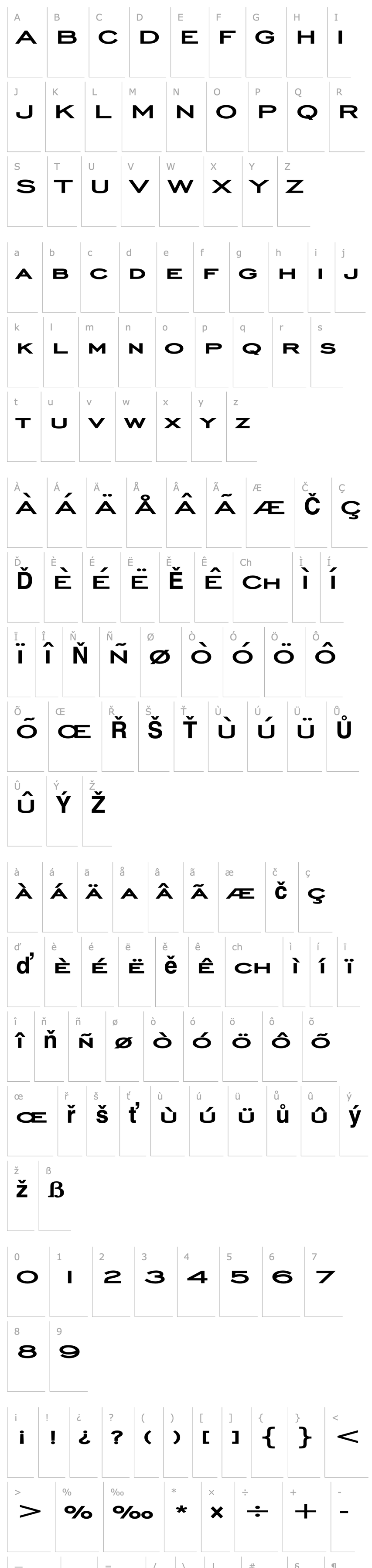 Overview Chisel Extended Bold