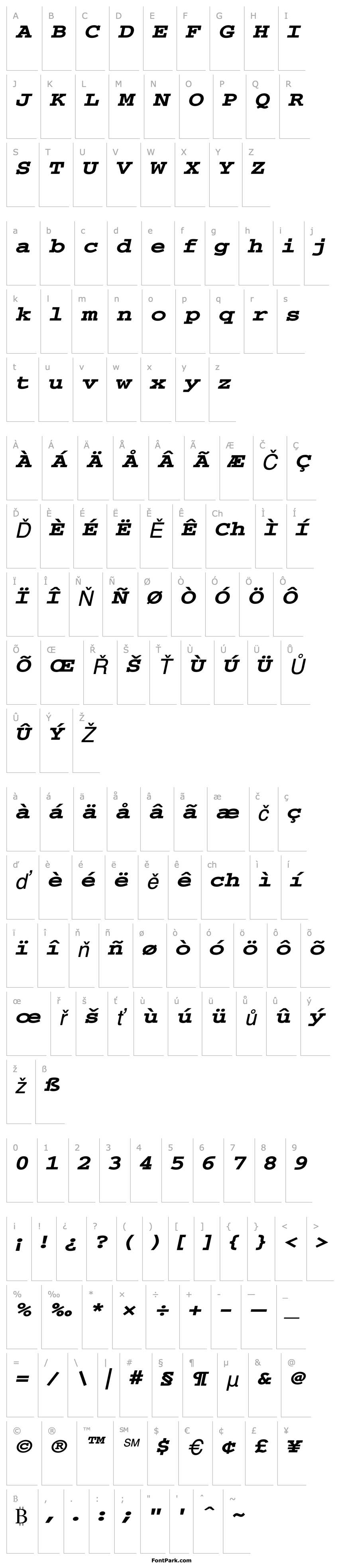 Overview Chisel-Extended Italic