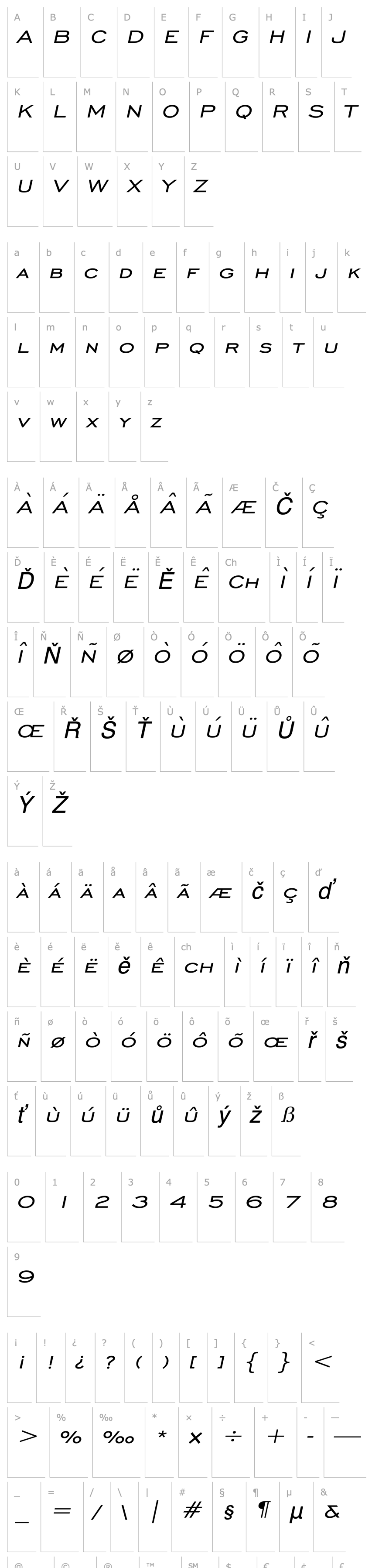 Overview Chisel Wide Italic