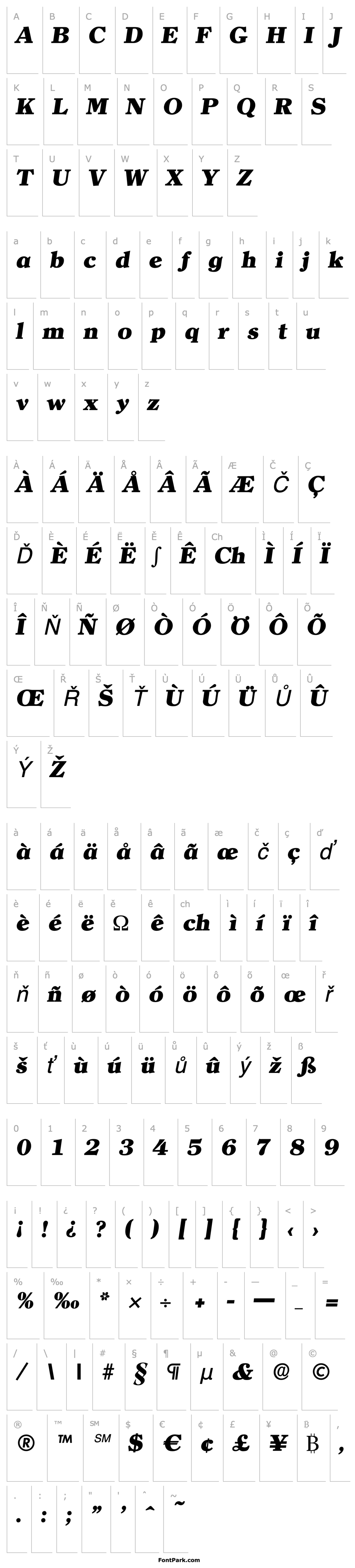 Přehled ChristianBecker-Heavy Italic