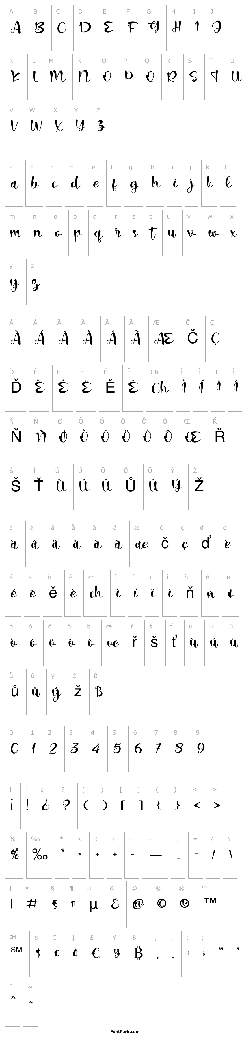 Přehled Christmas Lights