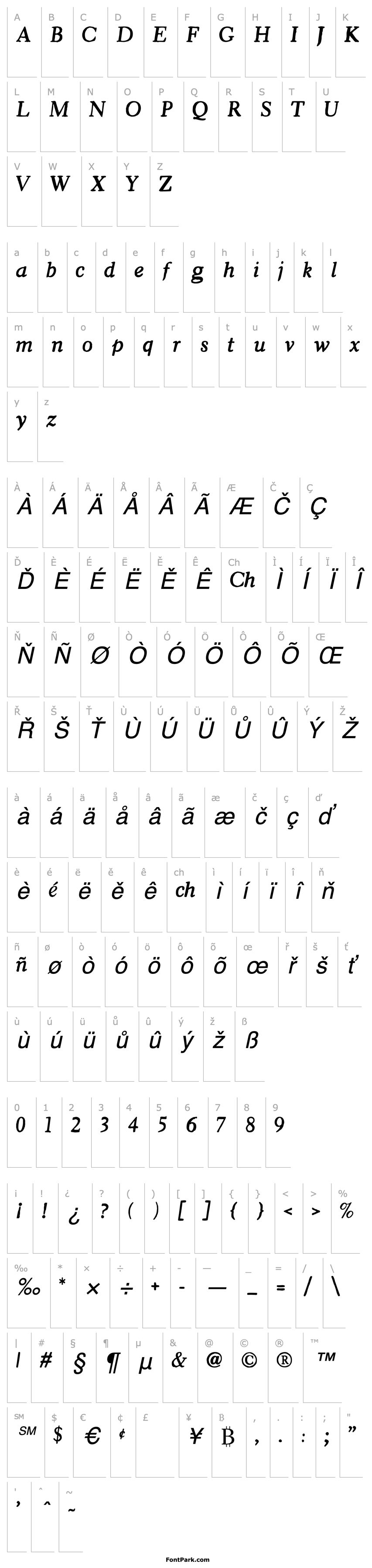 Overview Chronicle Italic