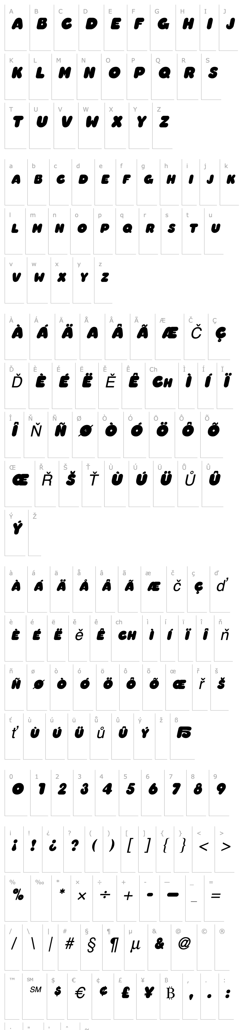 Overview Chubby Italic