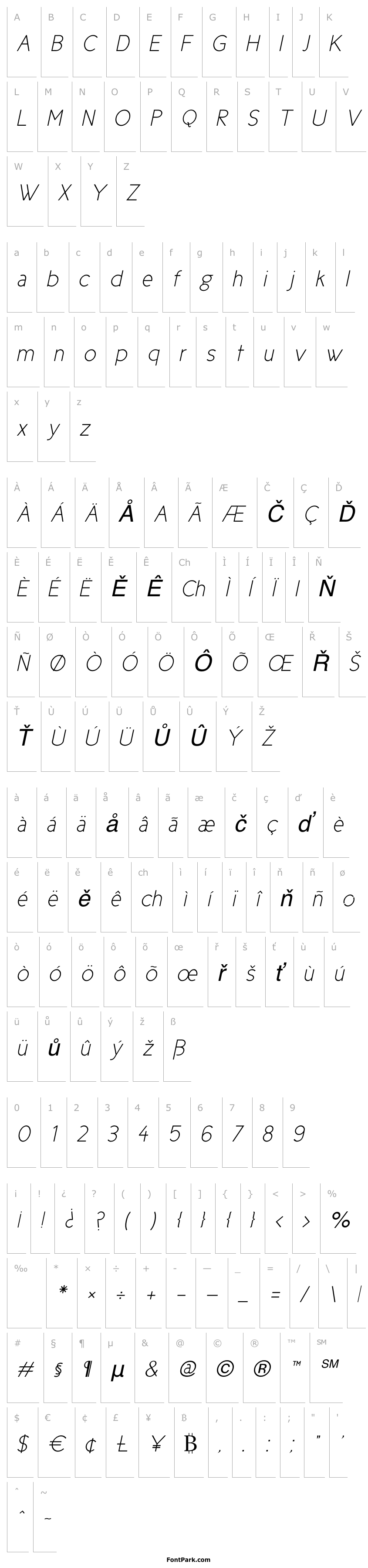 Přehled Cicle Fina Italic