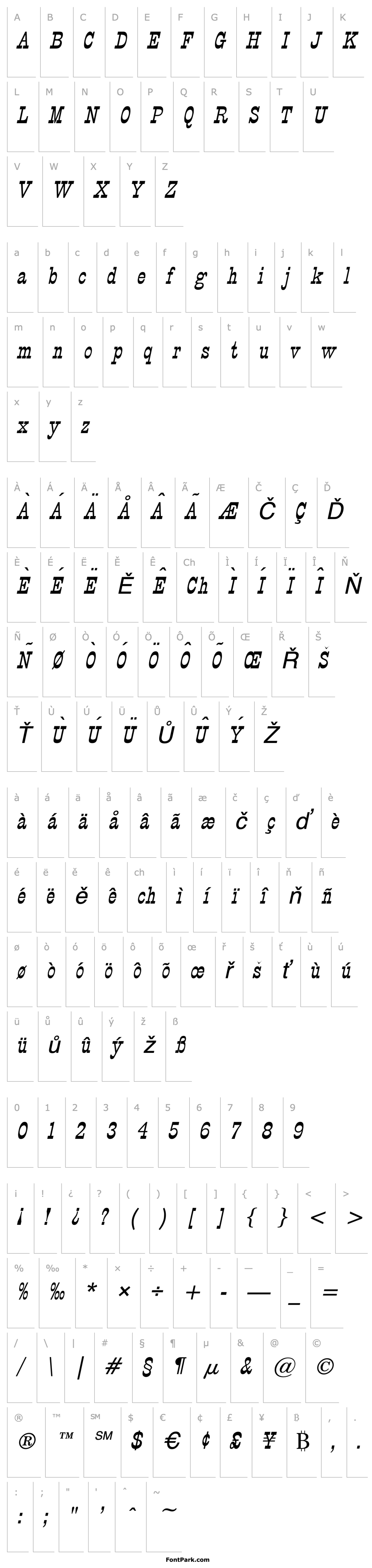 Overview Circus Italic