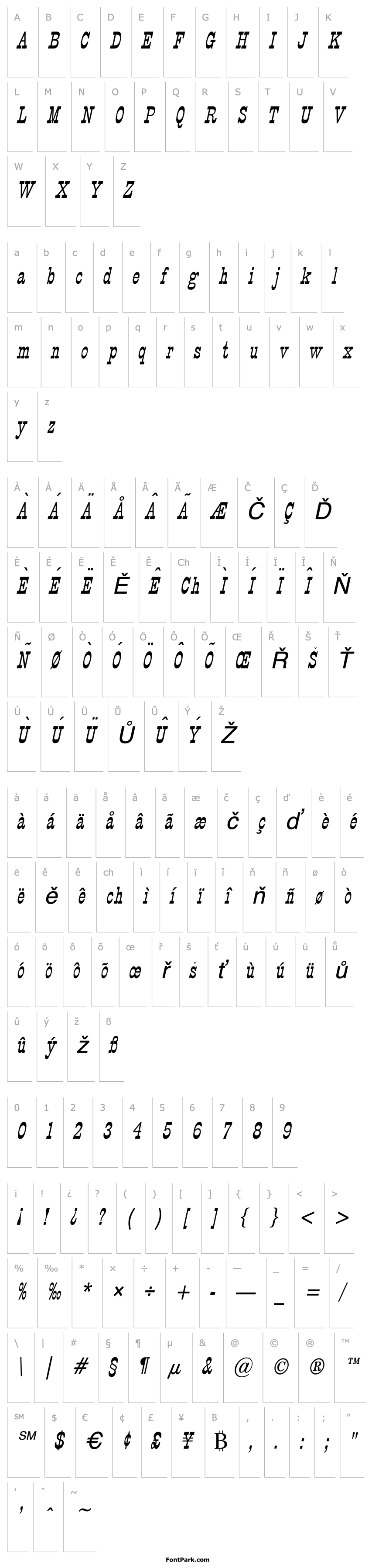 Overview Circus Thin Italic