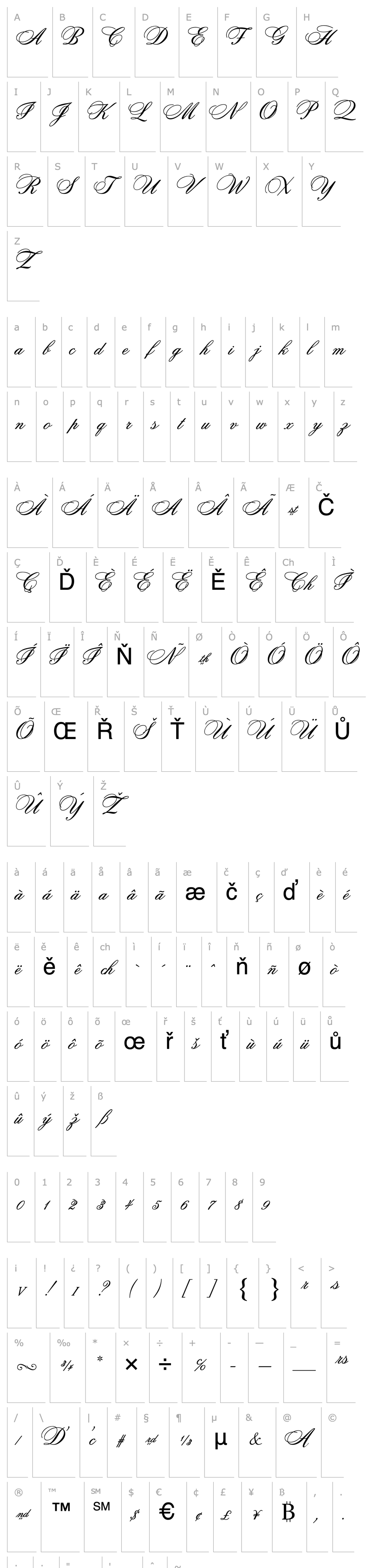 Overview Citadel Script