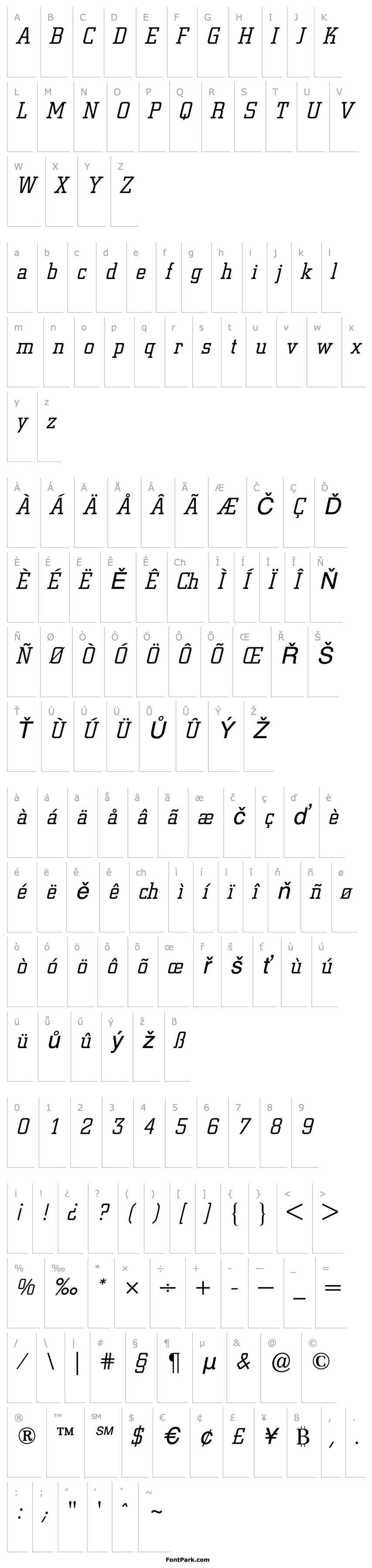 Overview City (R) Light Italic