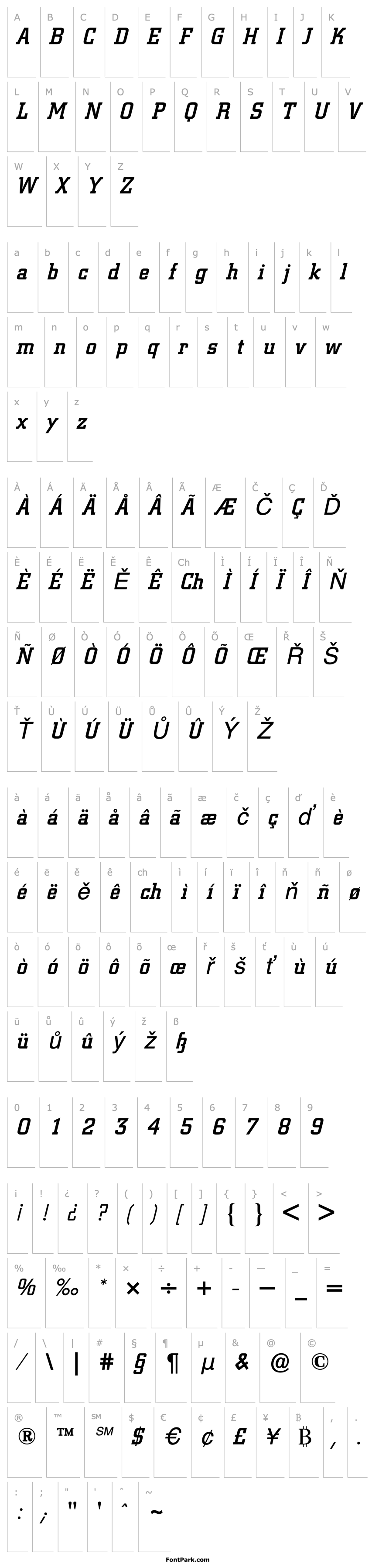 Overview City (R) Medium Italic