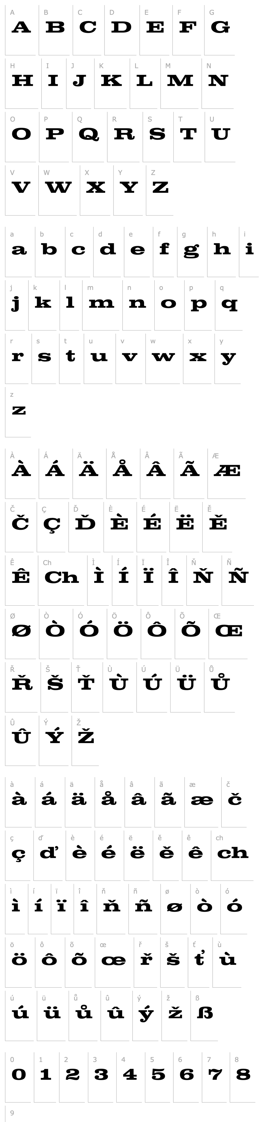 Overview Clarendon Extended Bold