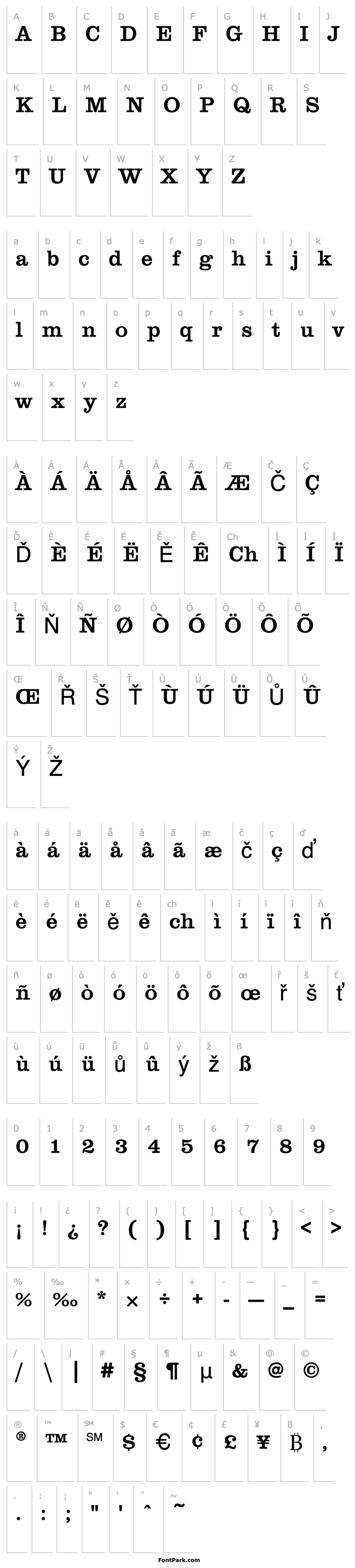 Přehled ClarendonEF-Medium