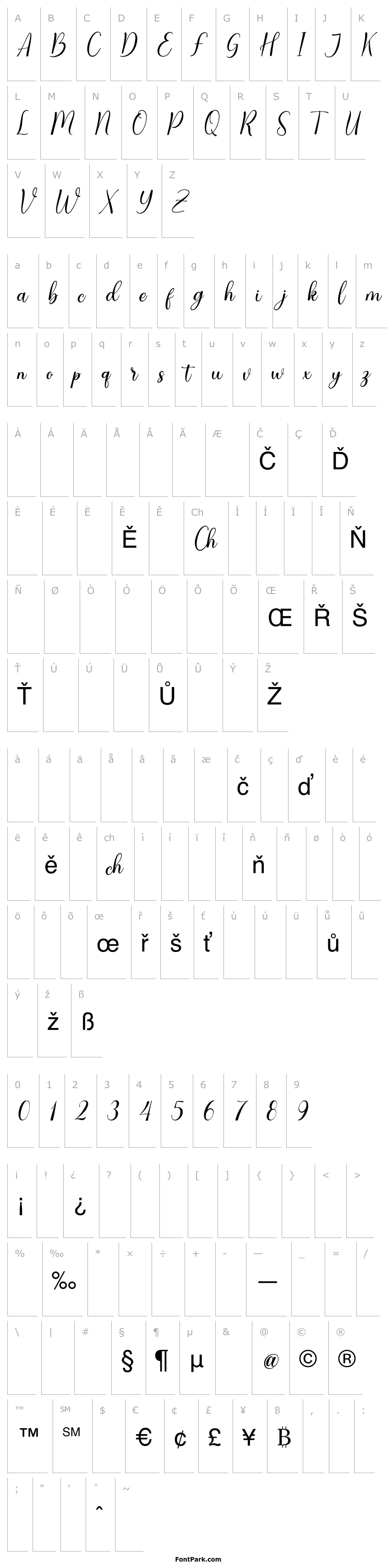 Přehled Clarities Italic