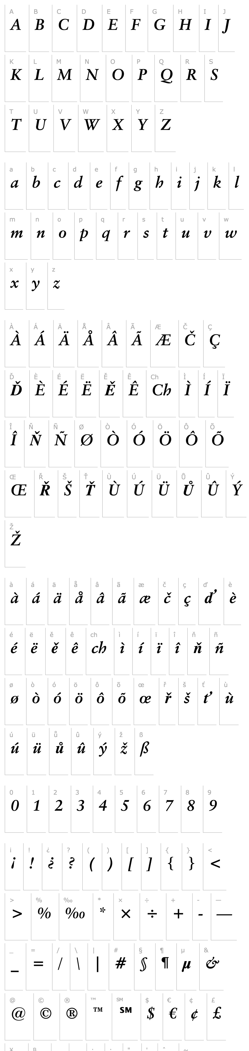 Overview ClassGarmnd BT Bold Italic