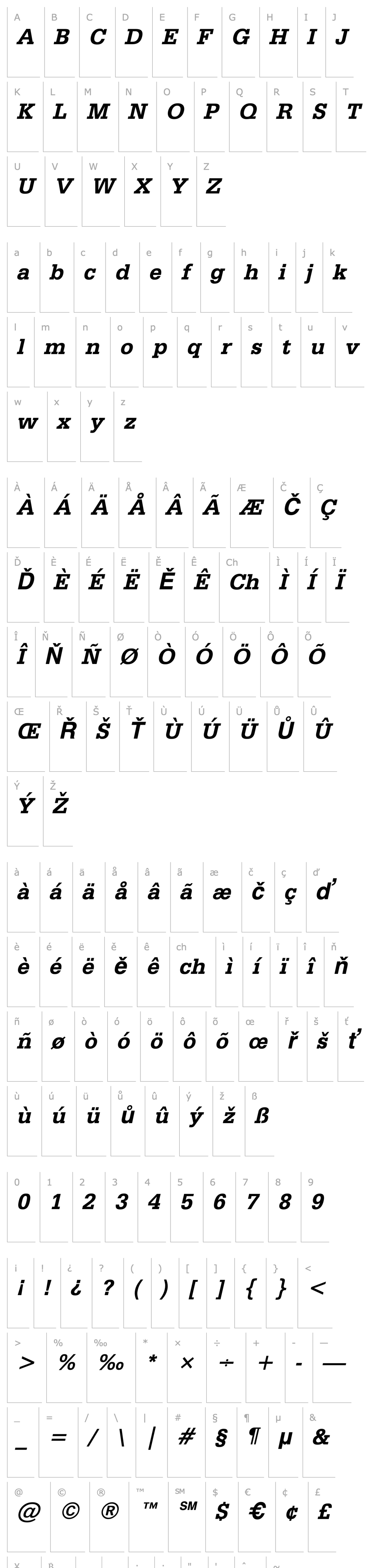 Overview Classic Typewriter Bold Italic