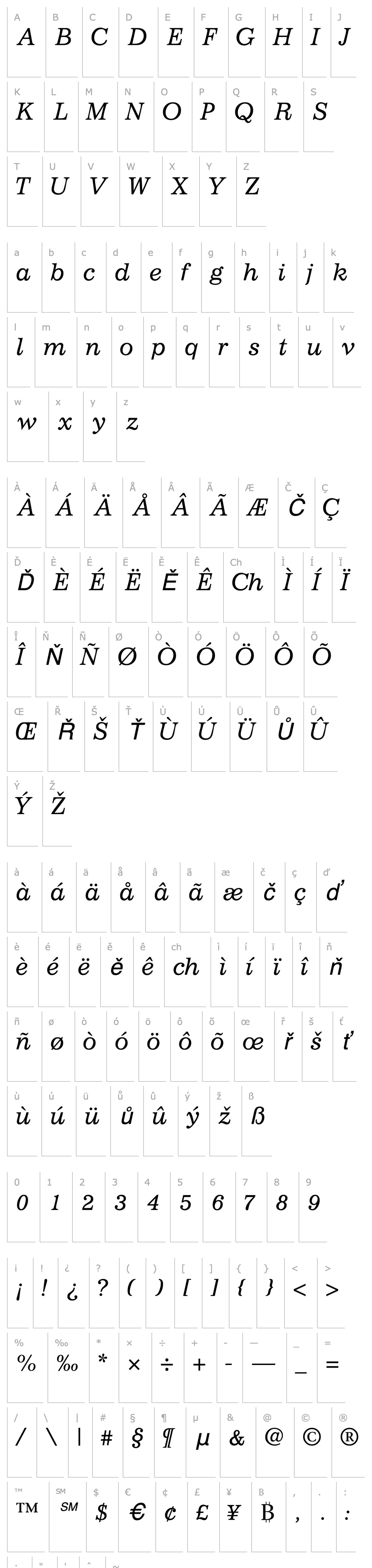 Přehled ClassicSSK Italic