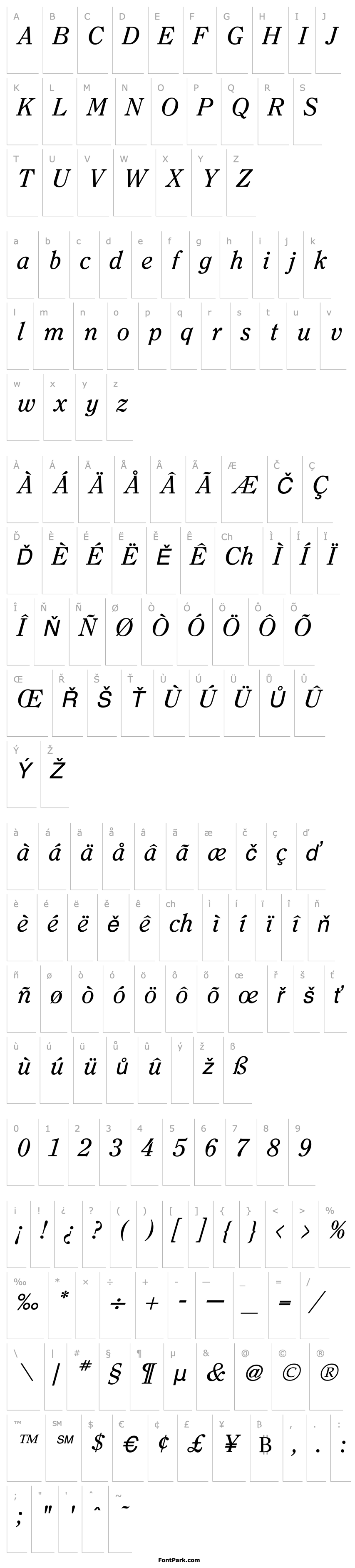 Overview Clearface Italic