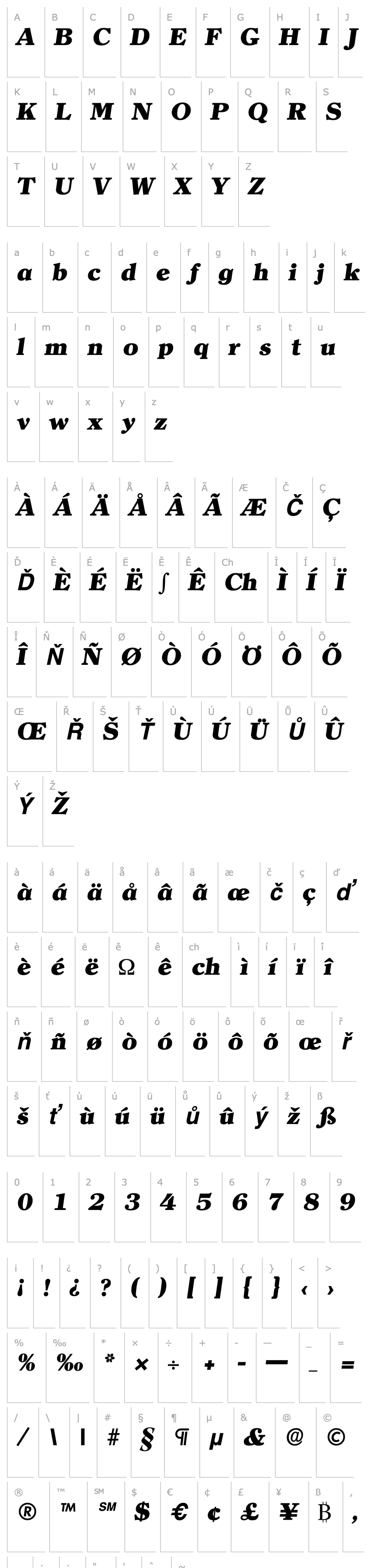 Overview Clearface-Serial-Heavy-RegularItalic