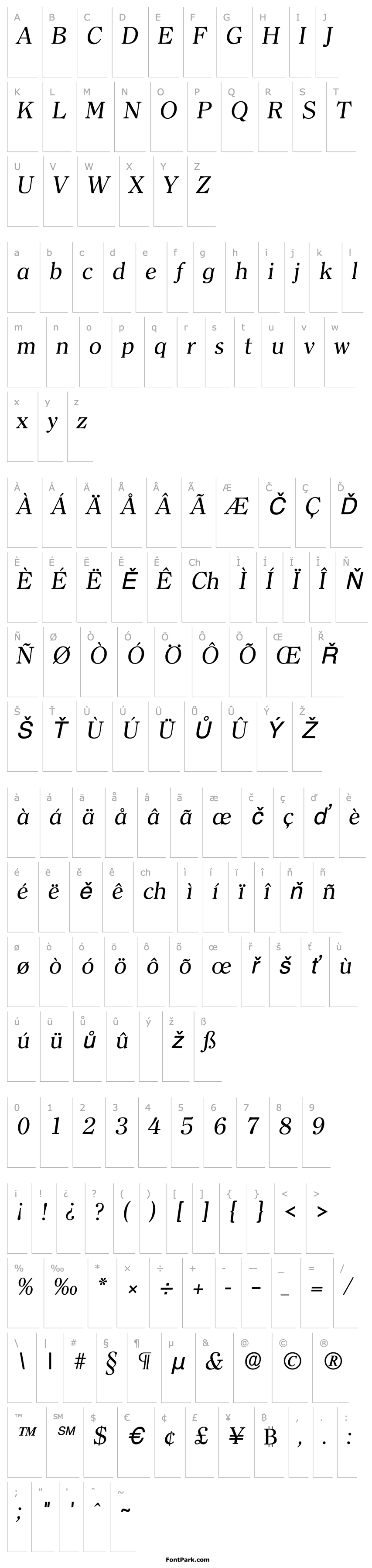 Přehled Clearserif Italic