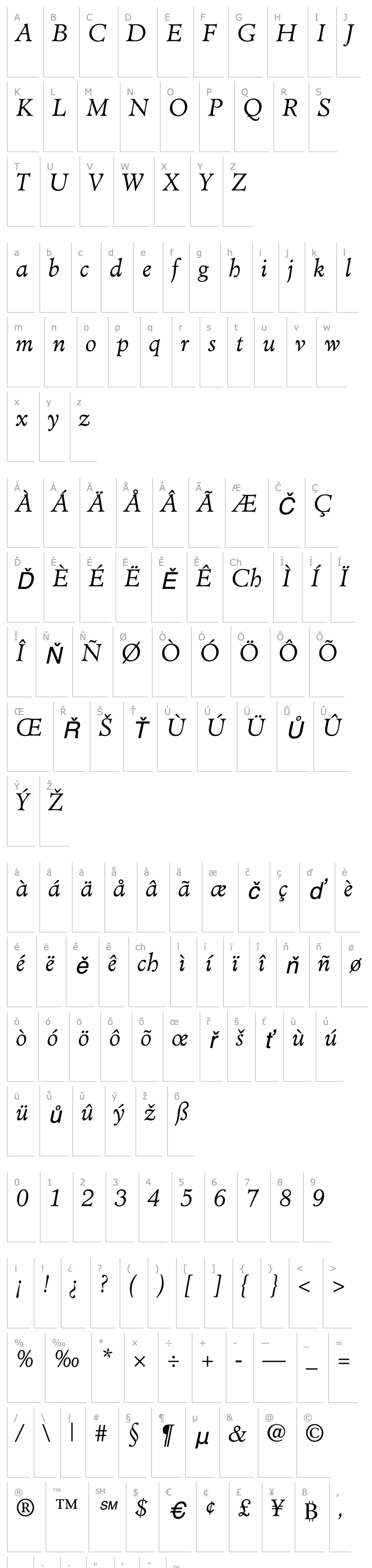 Overview Cleric Light SSi Light Italic